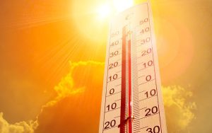 Dünya Meteoroloji Örgütü tehlikeye karşı uyardı: Son 7 yıl kayıtlardaki en sıcak 7 yıl