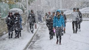 Bitlis, Van, Kars yarın okullar tatil mi?