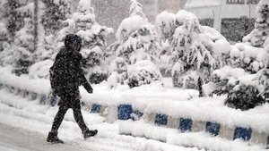 Nevşehir, Kütahya ve Tokat'ta yarın okullar tatil mi?